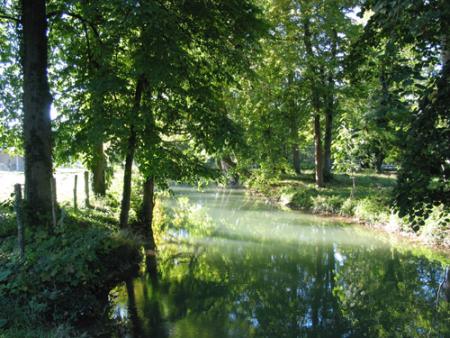 JARDINONS SAUVAGE  : FAVORISONS LA BIODIVERSITE