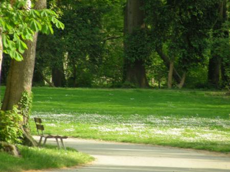 Chemin vers le jardin
