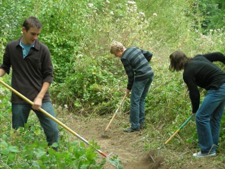 RESTAURATION DES ALLEES